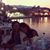 Figen Baysal Gedik's profile image