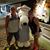 Mary Hoyson's profile image