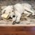 Renea Miller's profile image