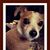 Debbie Ingram's profile image