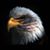 Kenneth Potemra's profile image