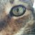 Missy Lukas's profile image