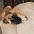 Tracy Hicks's profile image