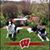 Pat Roth's profile image