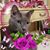 Valerie Knight's profile image