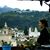Christine Tiefenbach's profile image