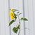 Heidi Herren's profile image