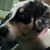 Sarah Nyburg's profile image