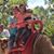 Sue Thayer's profile image