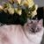 Faye Weikle's profile image