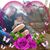 June Snyder Schultz's profile image