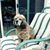 Missy Henning's profile image