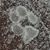 Elayne Branson's profile image