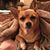 Amy Hunt Jenkins's profile image