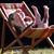 Jane Dowling's profile image