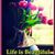 Mgd Love's profile image