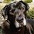 John Kamin's profile image