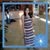 Connie Chavez's profile image