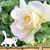 Pamela Purser Higgins's profile image
