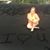 Sherry Kilman Collingsworth's profile image