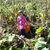 Melissa Harris Gasser's profile image