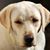 Jerry Moores's profile image