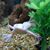 Helen Runser Bohman's profile image