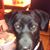 Donna Raneri Weygand's profile image