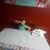 Jessica Lynn Smith's profile image
