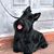 Eileen Gill's profile image