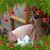 Peggy Nourse's profile image