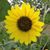 Patricia Hernandez Donnell's profile image
