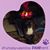 Lisa Willett-Weddle's profile image