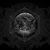 Diego Salto's profile image