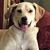 Helen Brooks Stallings's profile image