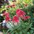 Lorene Hagen Johnson's profile image