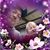 Kathy Petrin's profile image