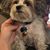 Sandy Bunk Bohonos's profile image