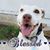 Gertie Gazoo's profile image