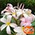 Wendy Hardgrove's profile image