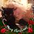 Diane Rogers Boyles's profile image