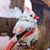 Roberta Sutton Crook's profile image