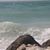Karen Schultz Fester's profile image