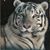 Laurent Morreau's profile image