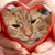 Tonia Marie Packingham Hoover's profile image