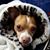 Linda Murphy's profile image