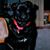 Martha Divincenzo's profile image