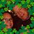 Beth Brader Spies's profile image