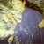 Kamini Gupta's profile image