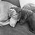 Peggy McInnis Helfert's profile image
